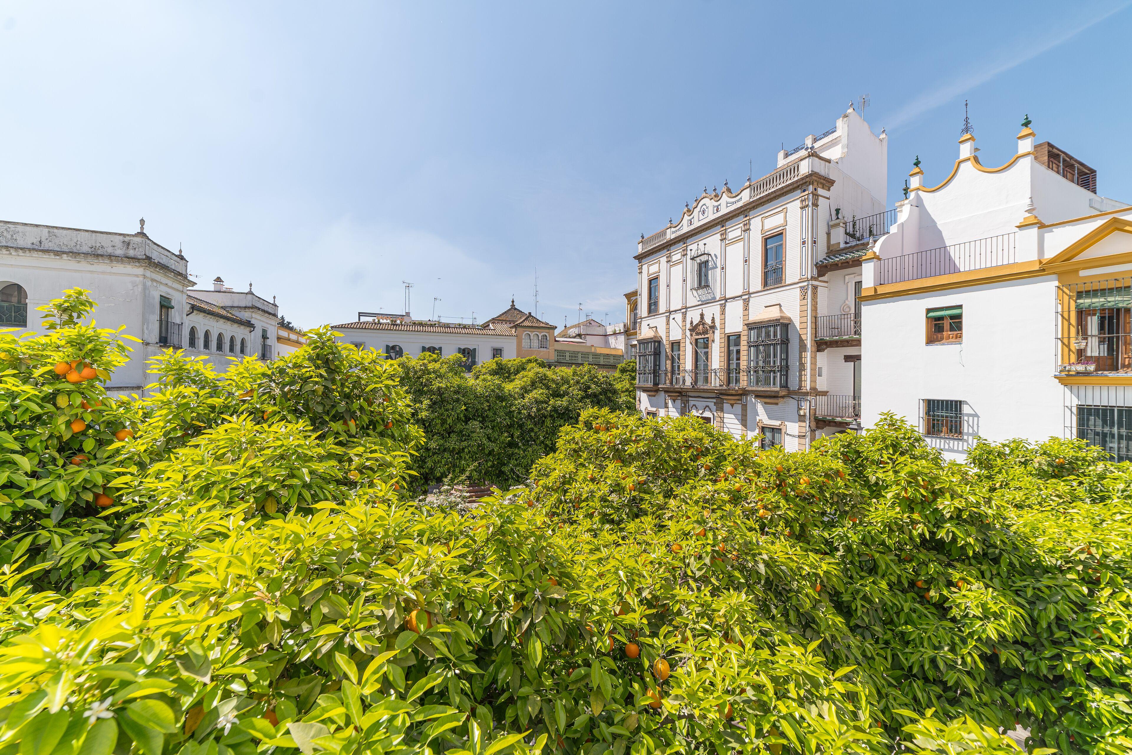 Rey Don Pedro Luxury Home, Seville